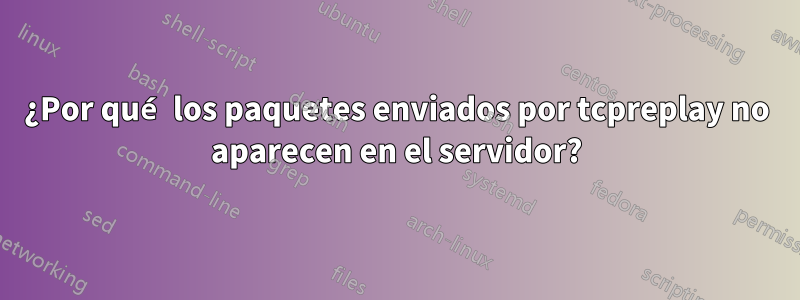 ¿Por qué los paquetes enviados por tcpreplay no aparecen en el servidor?