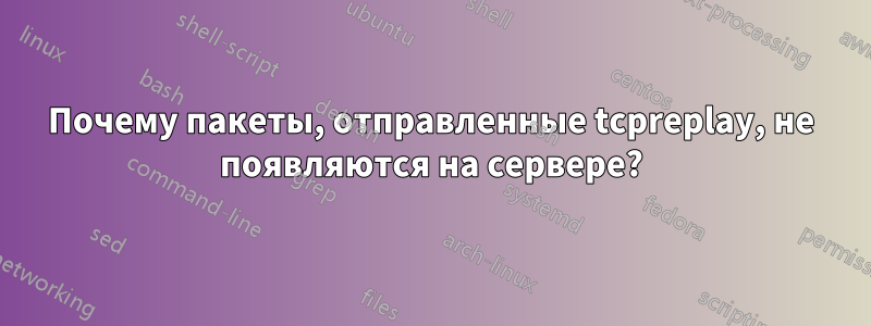 Почему пакеты, отправленные tcpreplay, не появляются на сервере?
