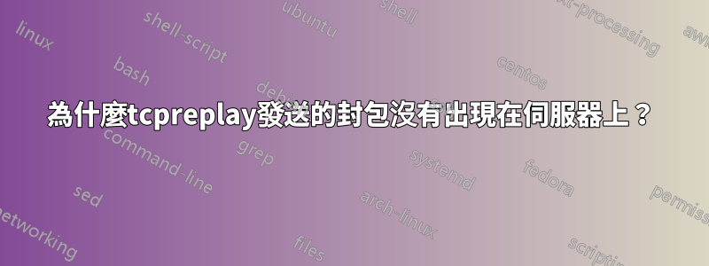 為什麼tcpreplay發送的封包沒有出現在伺服器上？