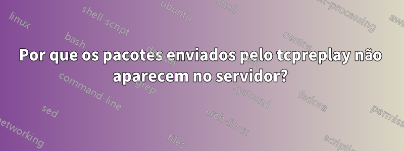 Por que os pacotes enviados pelo tcpreplay não aparecem no servidor?