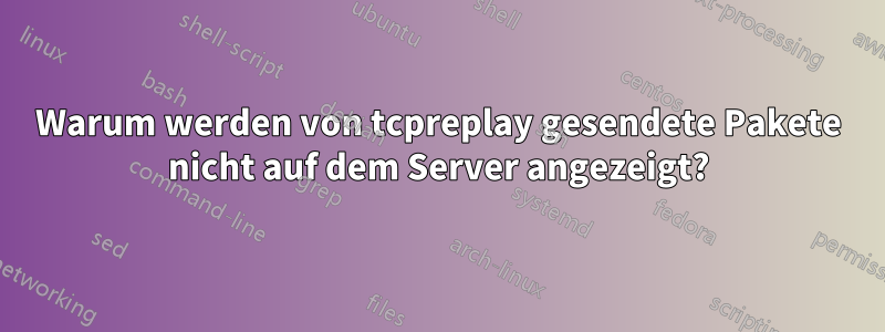Warum werden von tcpreplay gesendete Pakete nicht auf dem Server angezeigt?