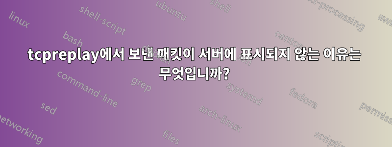 tcpreplay에서 보낸 패킷이 서버에 표시되지 않는 이유는 무엇입니까?