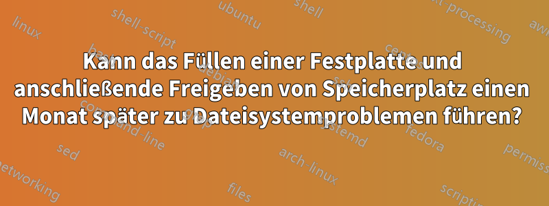 Kann das Füllen einer Festplatte und anschließende Freigeben von Speicherplatz einen Monat später zu Dateisystemproblemen führen?
