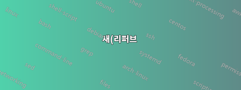 새(리퍼브) SSD 테스트