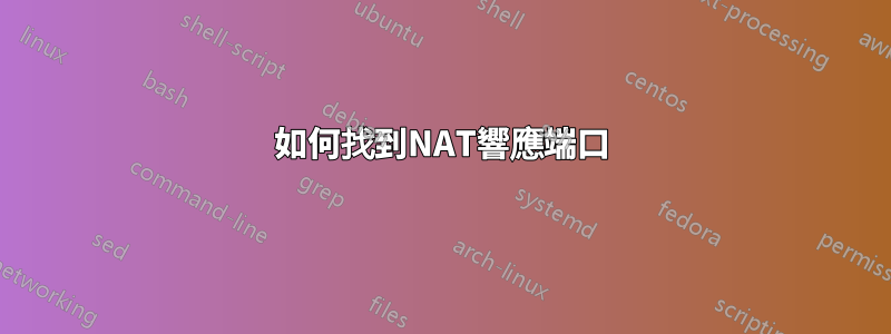 如何找到NAT響應端口