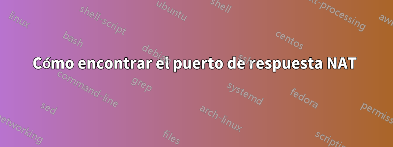 Cómo encontrar el puerto de respuesta NAT