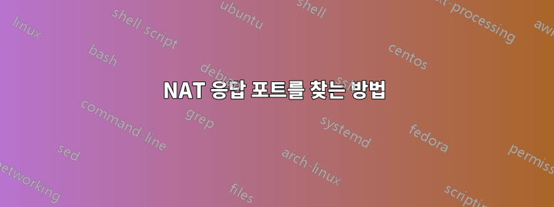 NAT 응답 포트를 찾는 방법