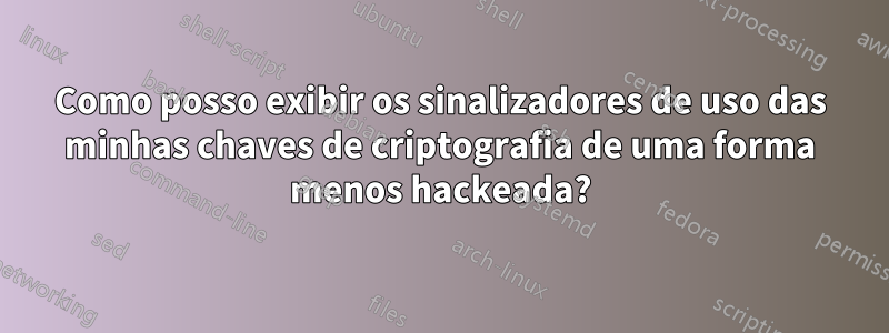Como posso exibir os sinalizadores de uso das minhas chaves de criptografia de uma forma menos hackeada?