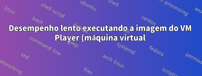 Desempenho lento executando a imagem do VM Player (máquina virtual) na unidade externa USB3.0