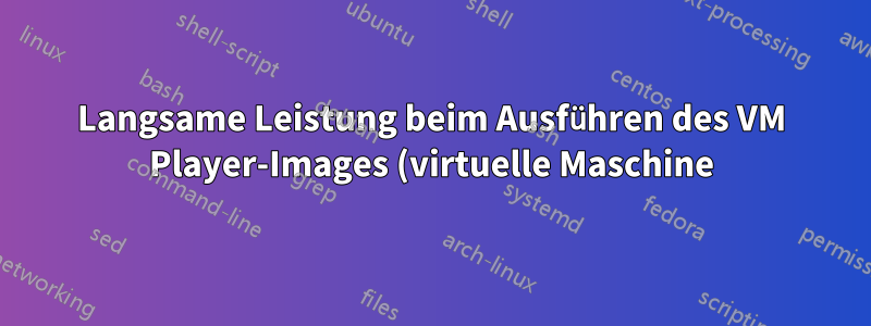 Langsame Leistung beim Ausführen des VM Player-Images (virtuelle Maschine) auf einem externen USB3.0-Laufwerk