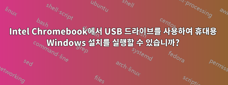 Intel Chromebook에서 USB 드라이브를 사용하여 휴대용 Windows 설치를 실행할 수 있습니까?