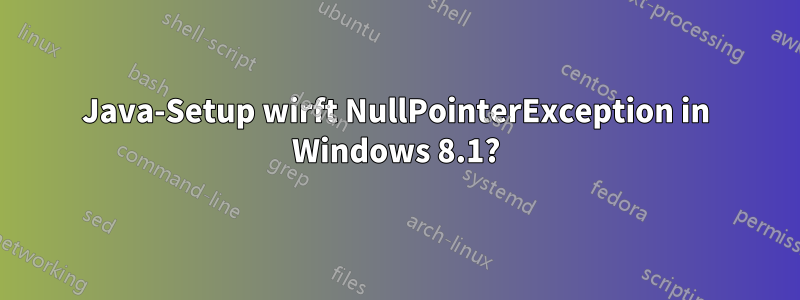 Java-Setup wirft NullPointerException in Windows 8.1?