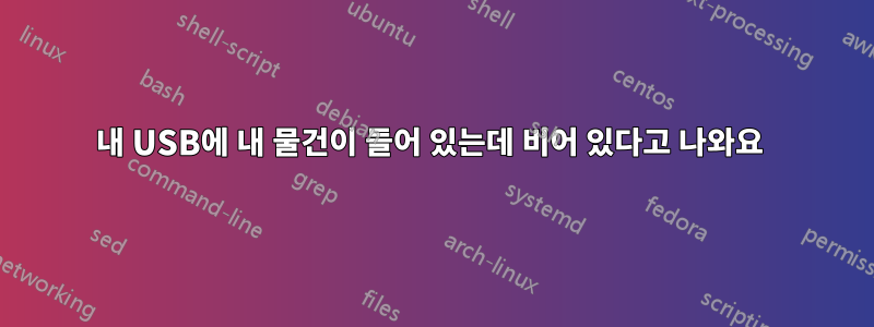 내 USB에 내 물건이 들어 있는데 비어 있다고 나와요 