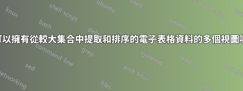 我可以擁有從較大集合中提取和排序的電子表格資料的多個視圖嗎？