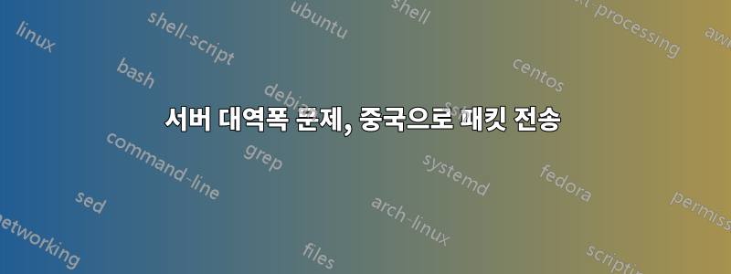 서버 대역폭 문제, 중국으로 패킷 전송
