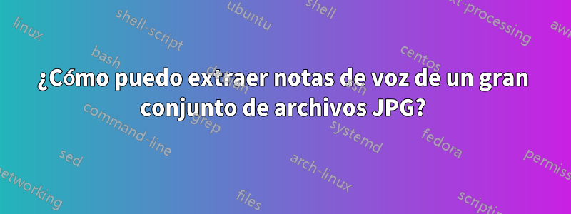 ¿Cómo puedo extraer notas de voz de un gran conjunto de archivos JPG?