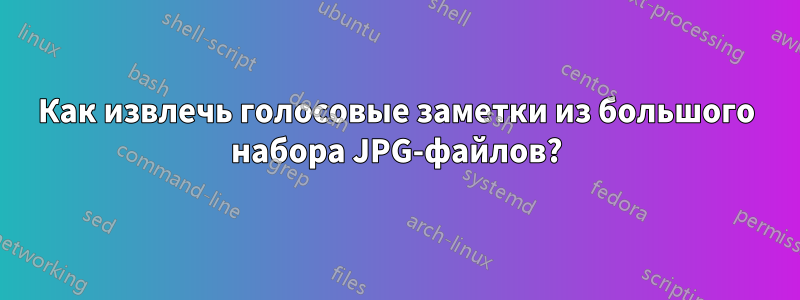 Как извлечь голосовые заметки из большого набора JPG-файлов?