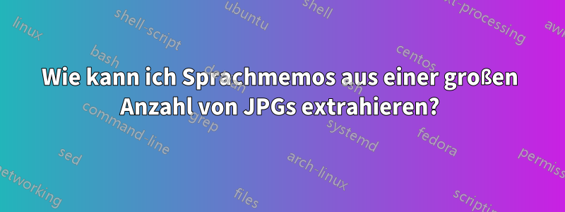 Wie kann ich Sprachmemos aus einer großen Anzahl von JPGs extrahieren?