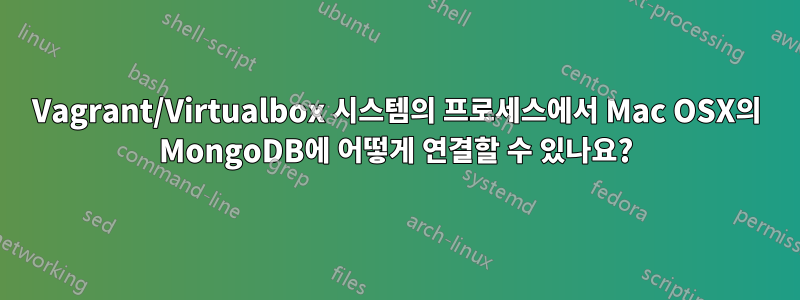 Vagrant/Virtualbox 시스템의 프로세스에서 Mac OSX의 MongoDB에 어떻게 연결할 수 있나요?