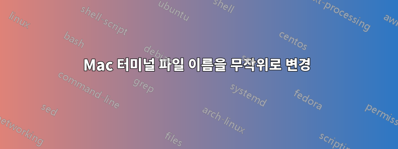 Mac 터미널 파일 이름을 무작위로 변경