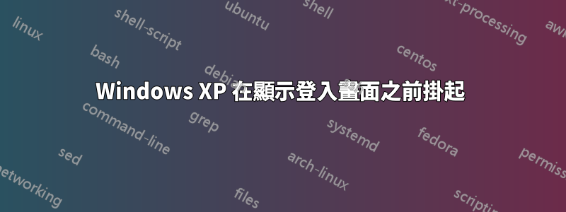 Windows XP 在顯示登入畫面之前掛起