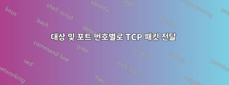 대상 및 포트 번호별로 TCP 패킷 전달