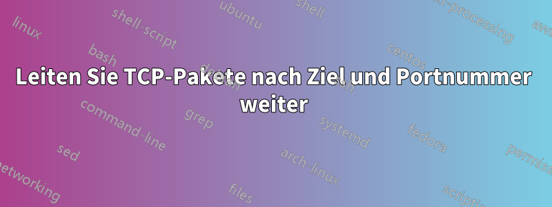 Leiten Sie TCP-Pakete nach Ziel und Portnummer weiter