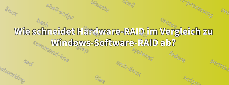 Wie schneidet Hardware-RAID im Vergleich zu Windows-Software-RAID ab?