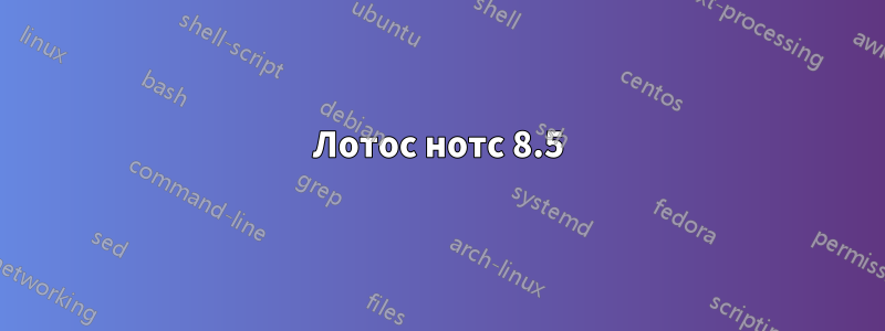 Лотос нотс 8.5