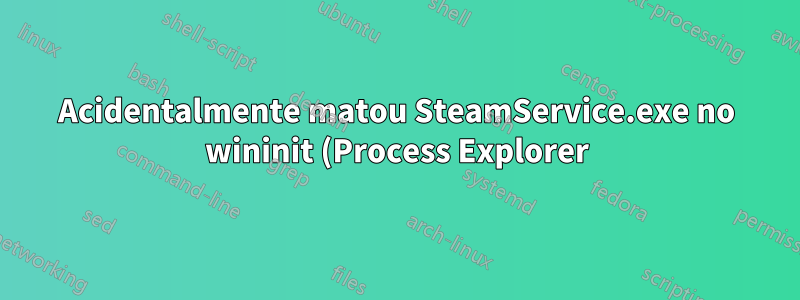 Acidentalmente matou SteamService.exe no wininit (Process Explorer)