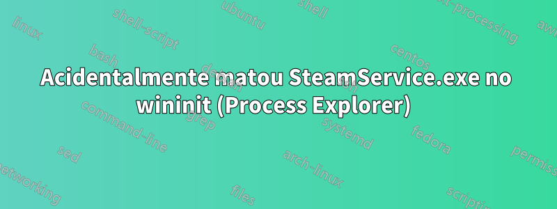 Acidentalmente matou SteamService.exe no wininit (Process Explorer) 