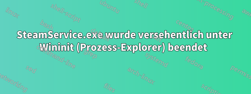 SteamService.exe wurde versehentlich unter Wininit (Prozess-Explorer) beendet 