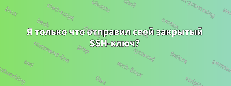 Я только что отправил свой закрытый SSH-ключ?