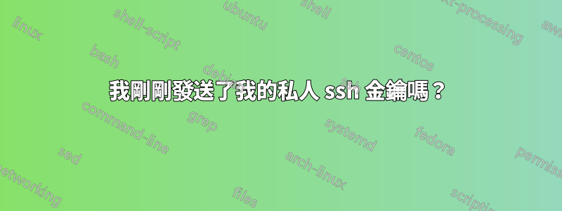 我剛剛發送了我的私人 ssh 金鑰嗎？