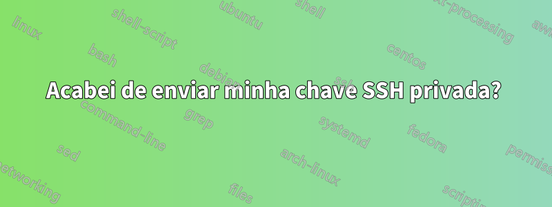 Acabei de enviar minha chave SSH privada?