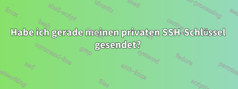 Habe ich gerade meinen privaten SSH-Schlüssel gesendet?