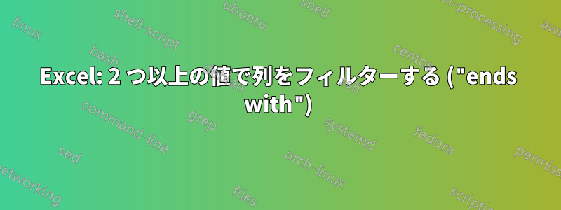 Excel: 2 つ以上の値で列をフィルターする ("ends with")