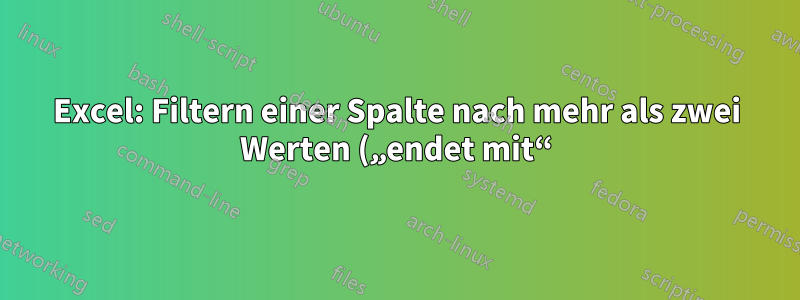 Excel: Filtern einer Spalte nach mehr als zwei Werten („endet mit“)