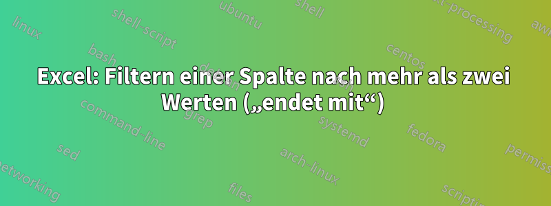 Excel: Filtern einer Spalte nach mehr als zwei Werten („endet mit“)