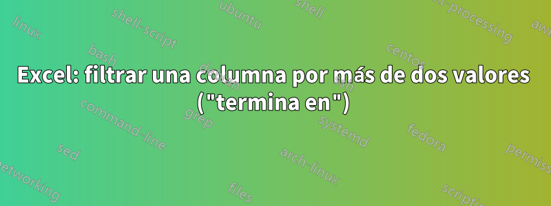 Excel: filtrar una columna por más de dos valores ("termina en")