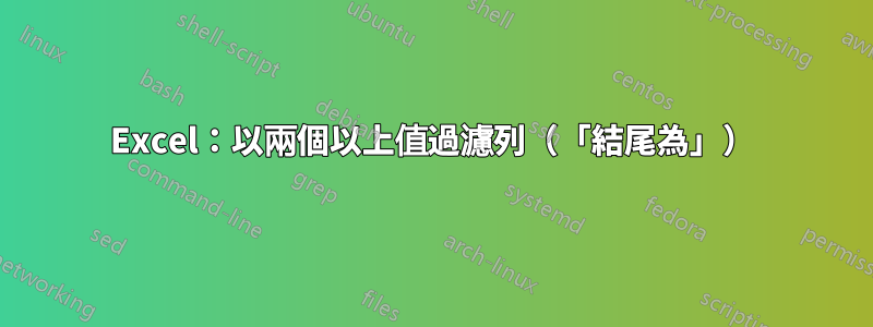 Excel：以兩個以上值過濾列（「結尾為」）