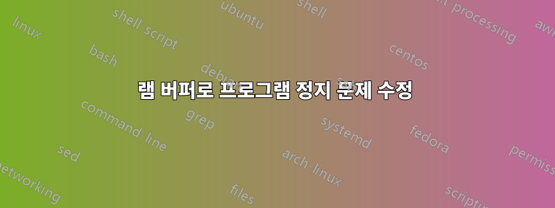 램 버퍼로 프로그램 정지 문제 수정