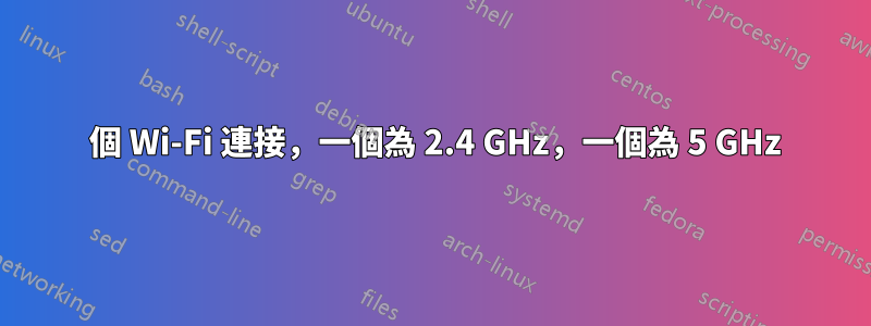 2 個 Wi-Fi 連接，一個為 2.4 GHz，一個為 5 GHz