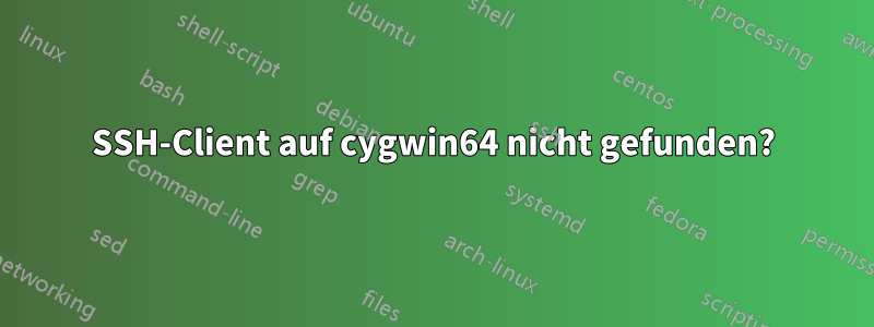 SSH-Client auf cygwin64 nicht gefunden?