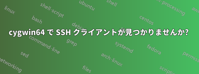 cygwin64 で SSH クライアントが見つかりませんか?