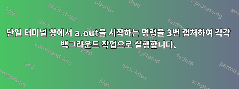 단일 터미널 창에서 a.out을 시작하는 명령을 3번 캡처하여 각각 백그라운드 작업으로 실행합니다.