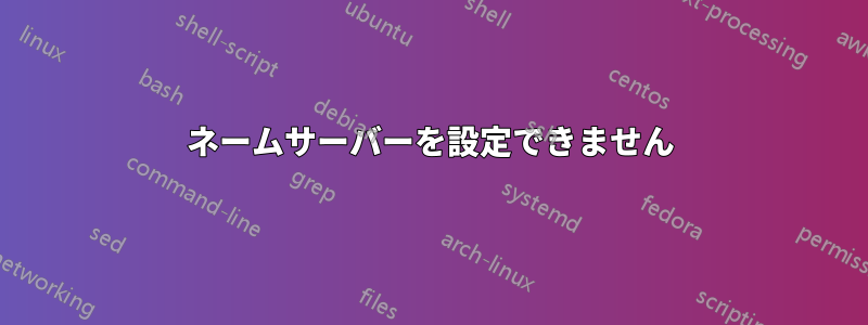 ネームサーバーを設定できません