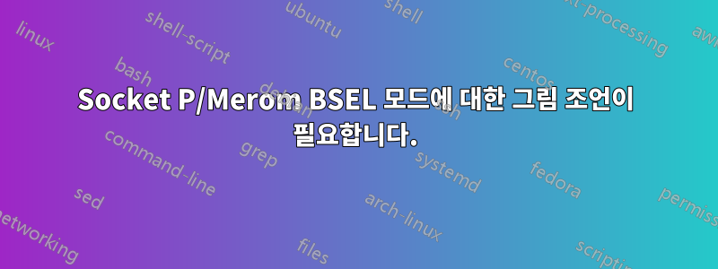 Socket P/Merom BSEL 모드에 대한 그림 조언이 필요합니다.