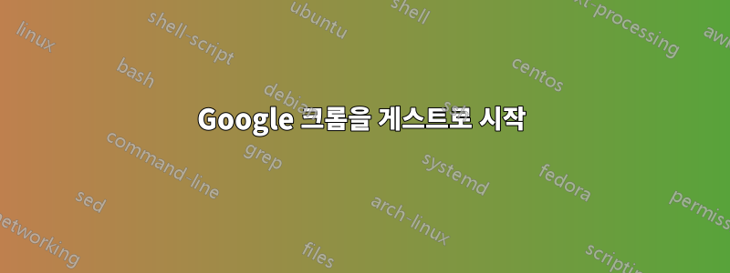 Google 크롬을 게스트로 시작