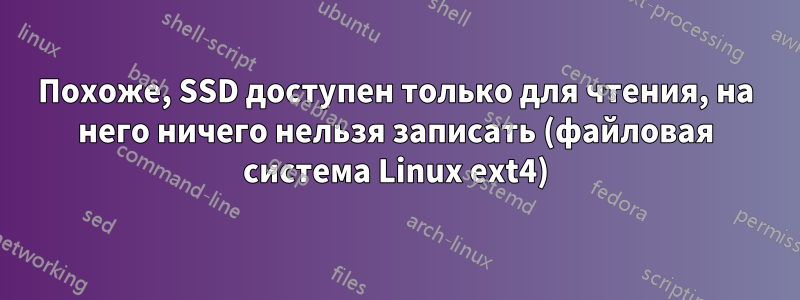 Похоже, SSD доступен только для чтения, на него ничего нельзя записать (файловая система Linux ext4)